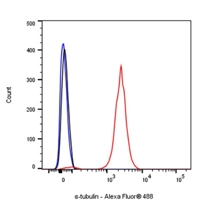 α-tubulin Recombinant Mouse mAb (S-364-23HL)