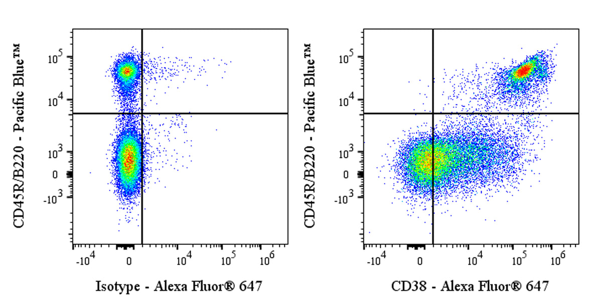 Alexa Fluor® 647 Rat Anti-Mouse CD38 Antibody (NIMR5)