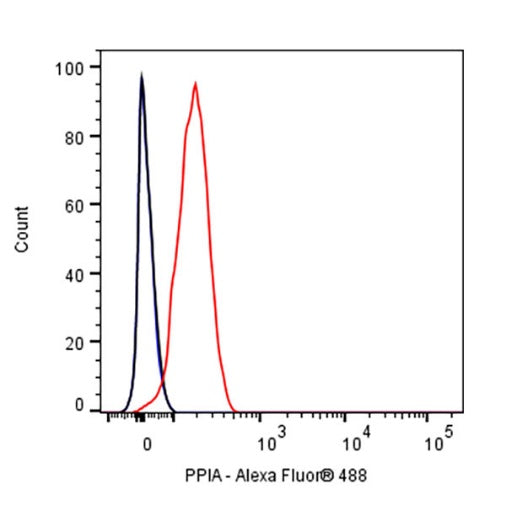 PPIA Recombinant Rabbit mAb (S-2406-28)
