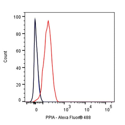 PPIA Recombinant Rabbit mAb (S-2406-28)