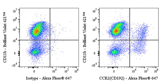 Invivo Anti-Mouse CCR2 (CD192) Recombinant mAb