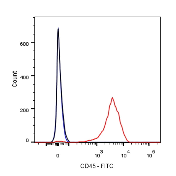 FITC Mouse Anti-Rat CD45 Antibody (OX-1)