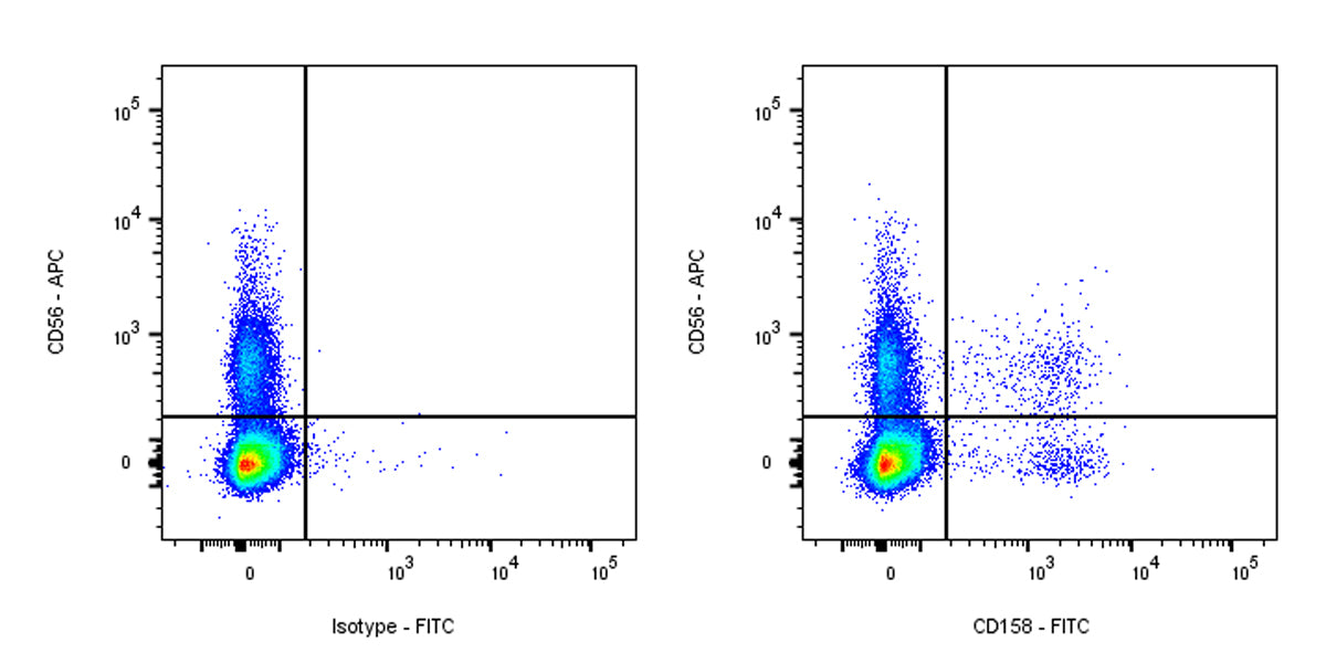 FITC Mouse Anti-Human CD158 Antibody (S-2918)