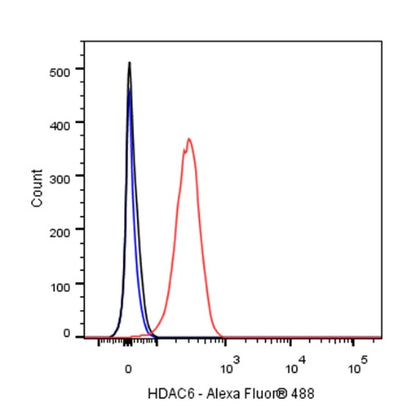 S-RMab®HDAC6 Recombinant Rabbit mAb (S-R338)