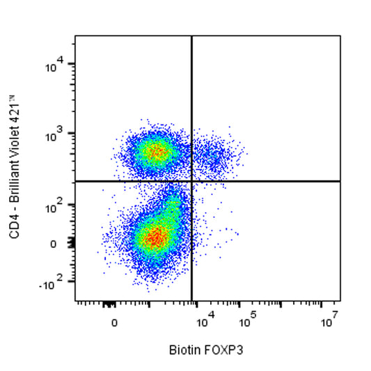Biotin Mouse Anti-Human FOXP3 Antibody (S-2903)