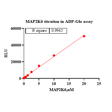 Product image media