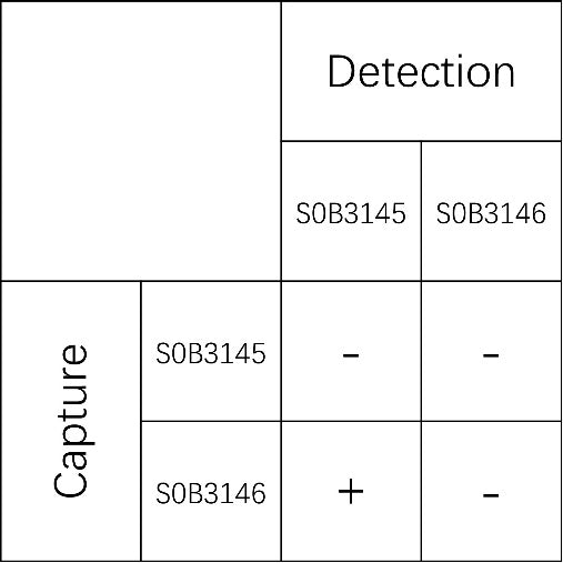 AFP Recombinant Rabbit mAb (SDT-089-109)