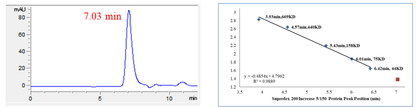 USP21 Protein