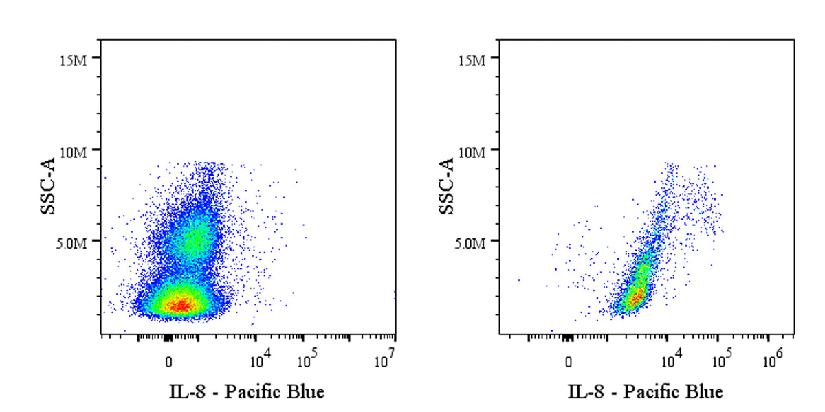 Pacific Blue Mouse Anti-Human IL-8 Antibody (S-2875)