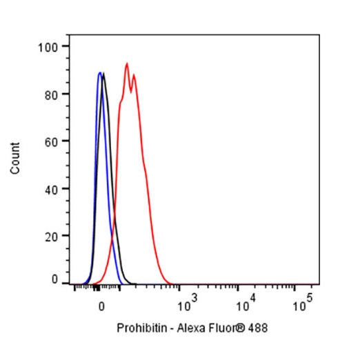 Prohibitin Recombinant Rabbit mAb (S-2679-7)