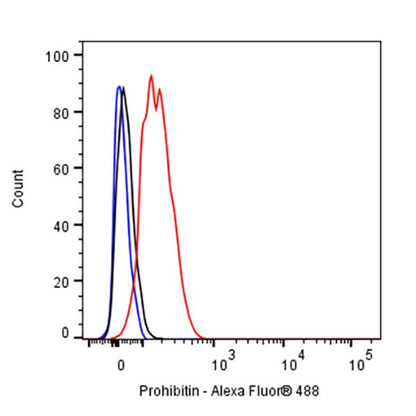 Prohibitin Recombinant Rabbit mAb (S-2679-7)