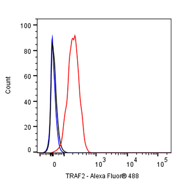 TRAF2 Rabbit Polyclonal Antibody