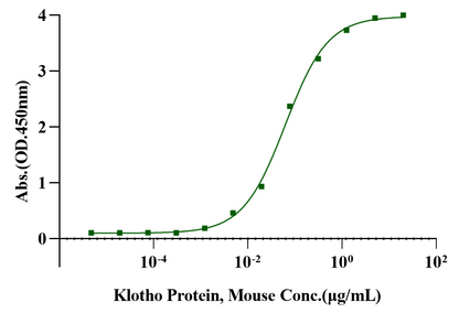 Klotho Protein, Mouse
