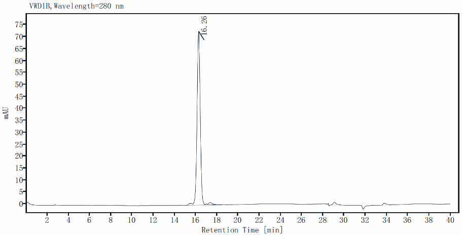 GDF-8 Protein, Human/Mouse/Rat