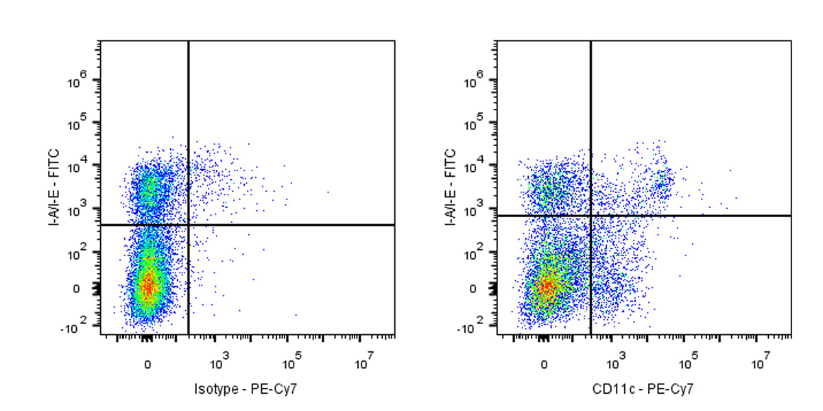 PE-Cy7 Armenian hamster Anti-Mouse CD11c Antibody (N418)