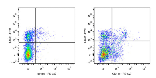 PE-Cy7 Armenian hamster Anti-Mouse CD11c Antibody (N418)