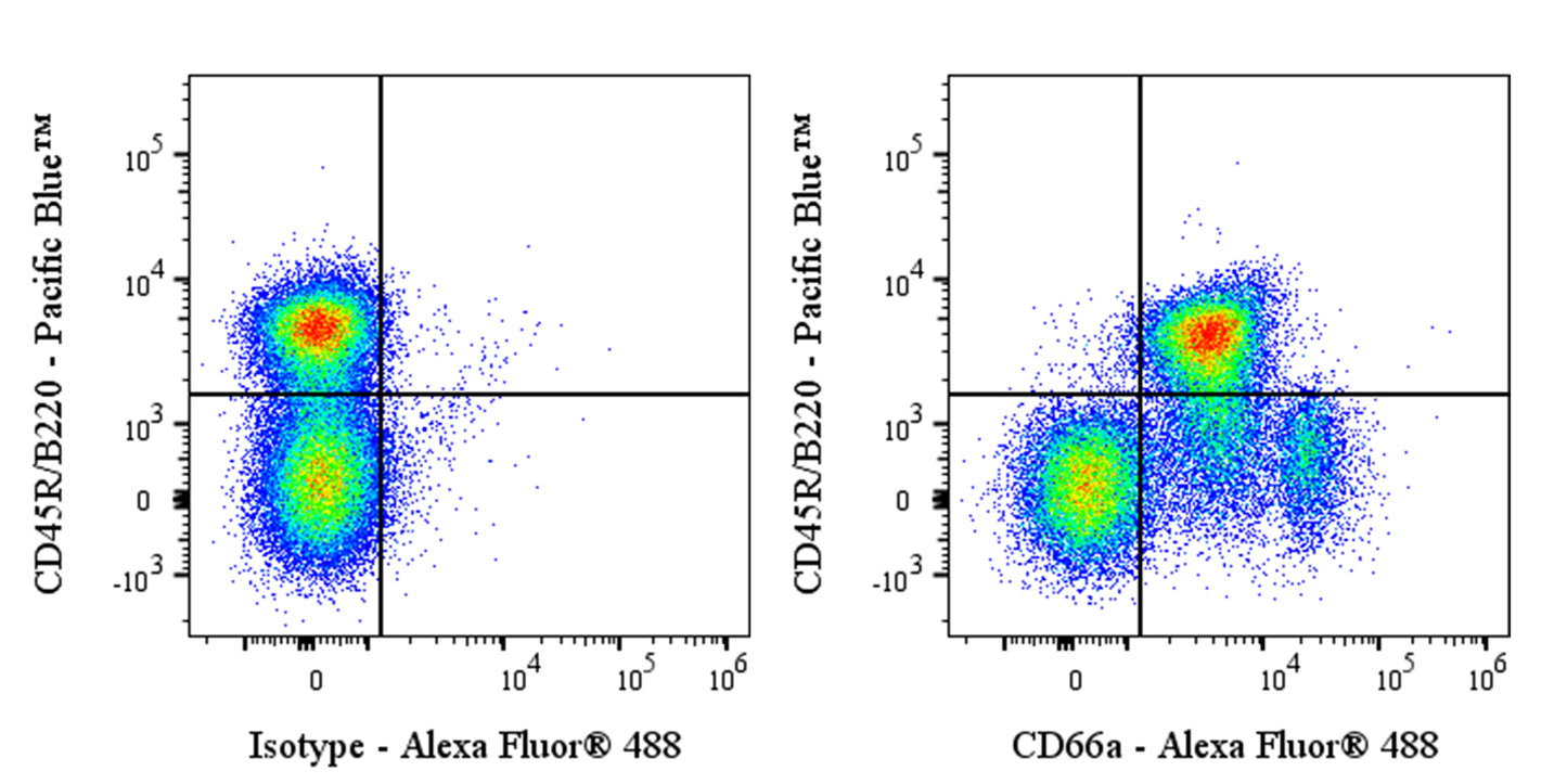 Alexa Fluor® 488 Mouse Anti-Mouse CD66a Antibody (S-3301)