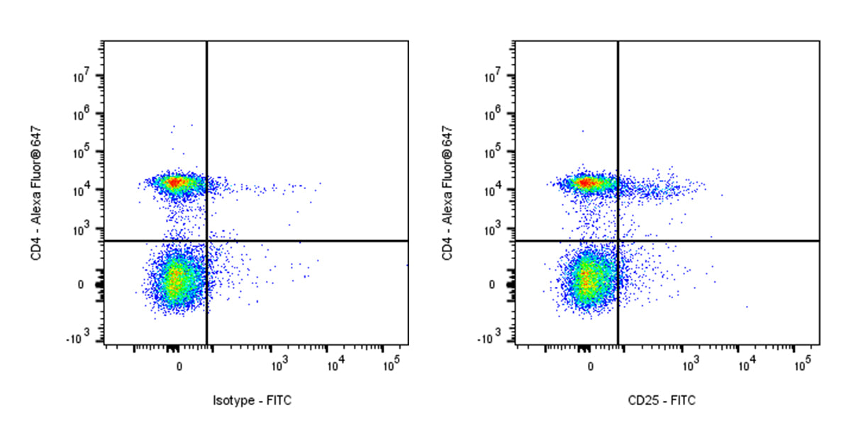 FITC Rat Anti-Mouse CD25 (IL-2Rα) Antibody (PC-61.5.3)