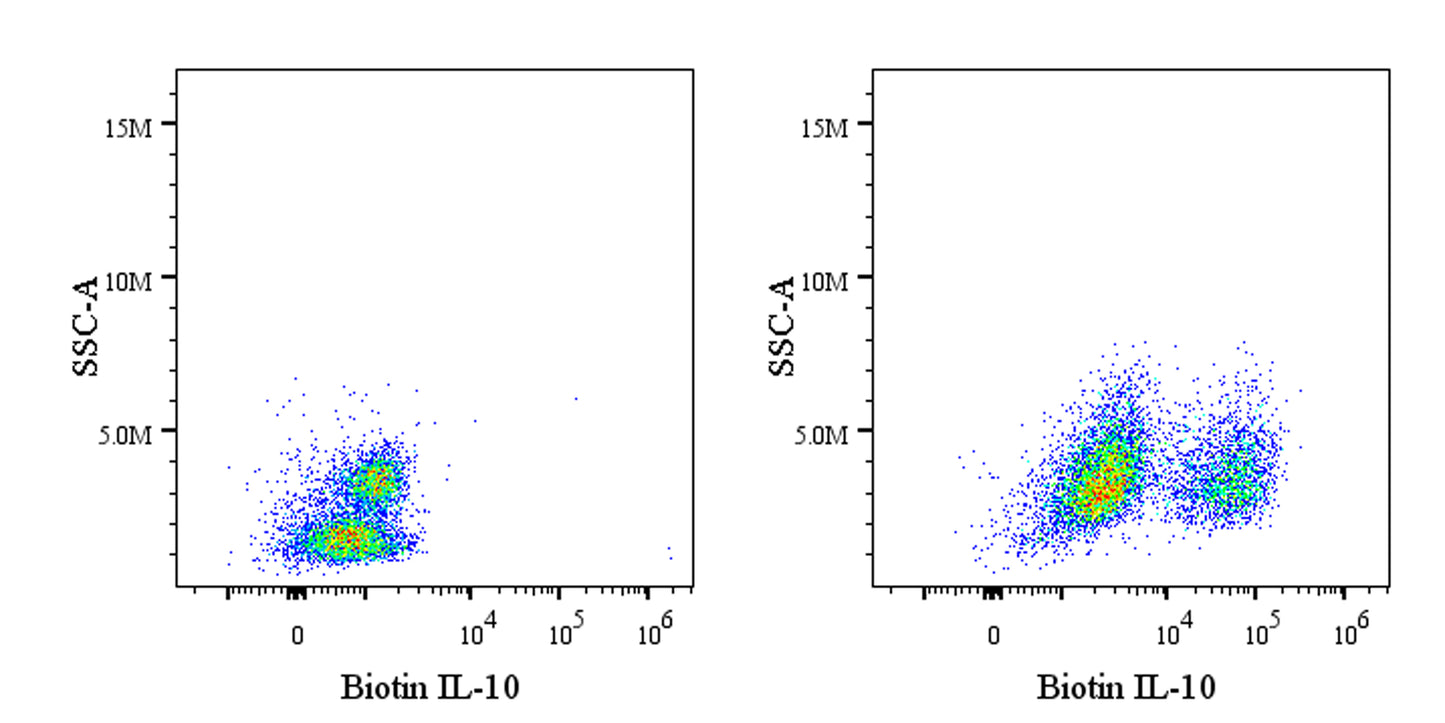 Biotin Rat Anti-Human IL-10 Antibody (S-3081)