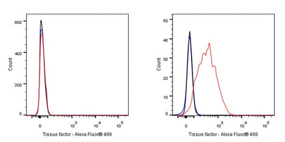 Tissue factor Recombinant Rabbit mAb (S-893-34)