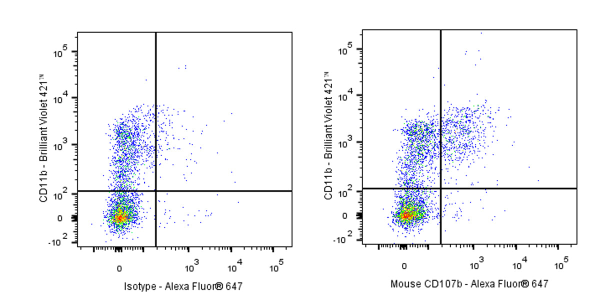 Alexa Fluor® 647 Rat Anti-Mouse CD107b (Mac-3) Antibody (M3/84)