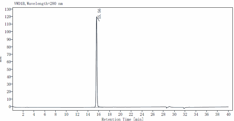 IL-12/IL-23 p40 Monomer Protein, Rat