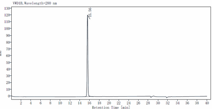 IL-12/IL-23 p40 Monomer Protein, Rat