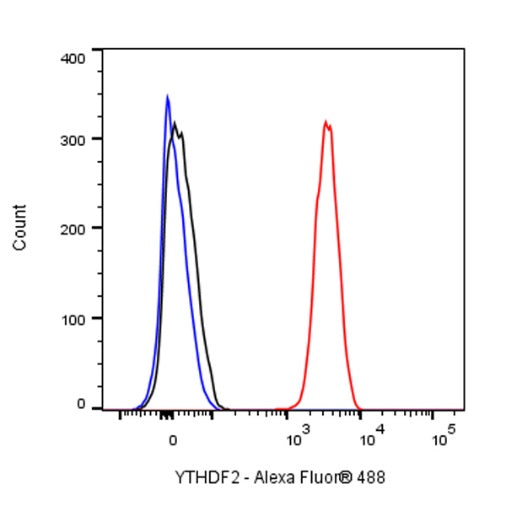 YTHDF2 Recombinant Rabbit mAb (S-1569-42)