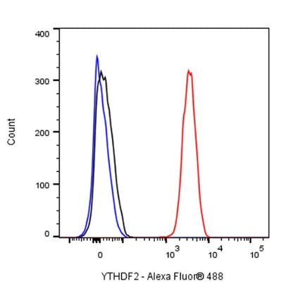 YTHDF2 Recombinant Rabbit mAb (S-1569-42)