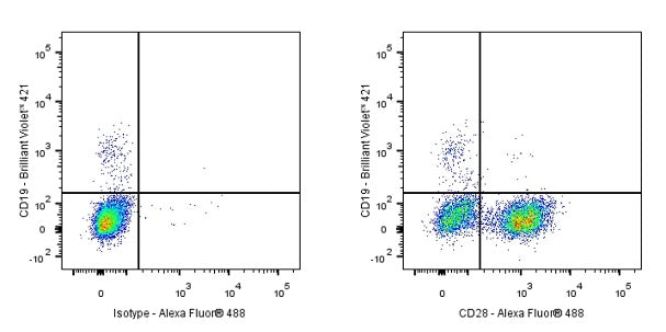 Mouse anti-Human CD28 Antibody (CD28.2)