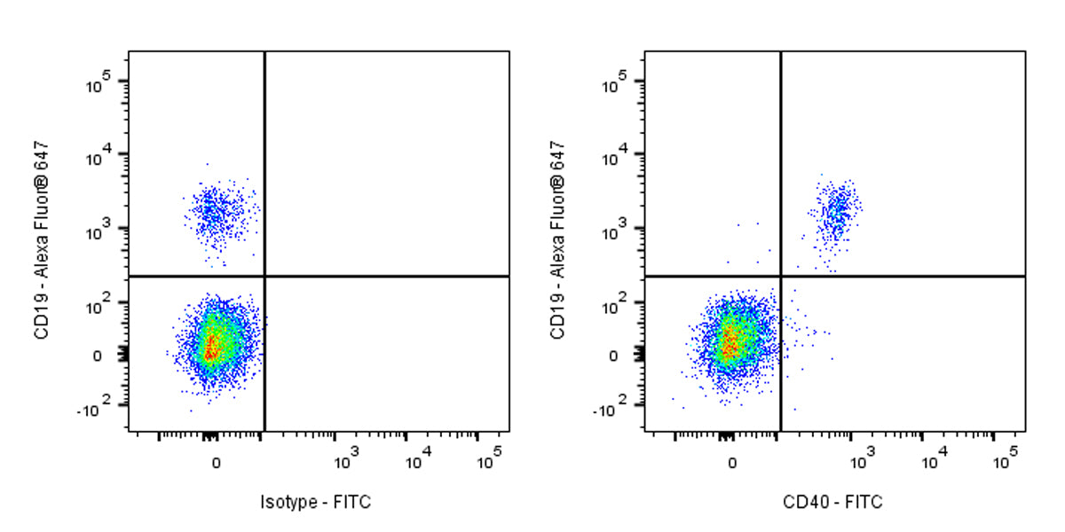 FITC Rabbit Anti-Human CD40 Antibody (S-145-45)