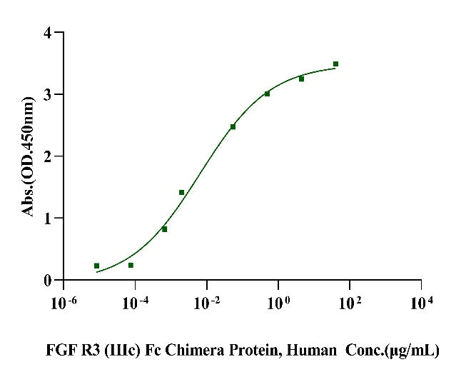 FGF R3 (IIIc) Fc Chimera Protein, Human