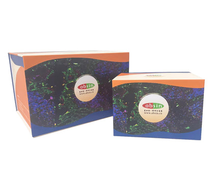 Absin 6-Color IHC Kit (Anti-Rabbit and Mouse Secondary Antibody)