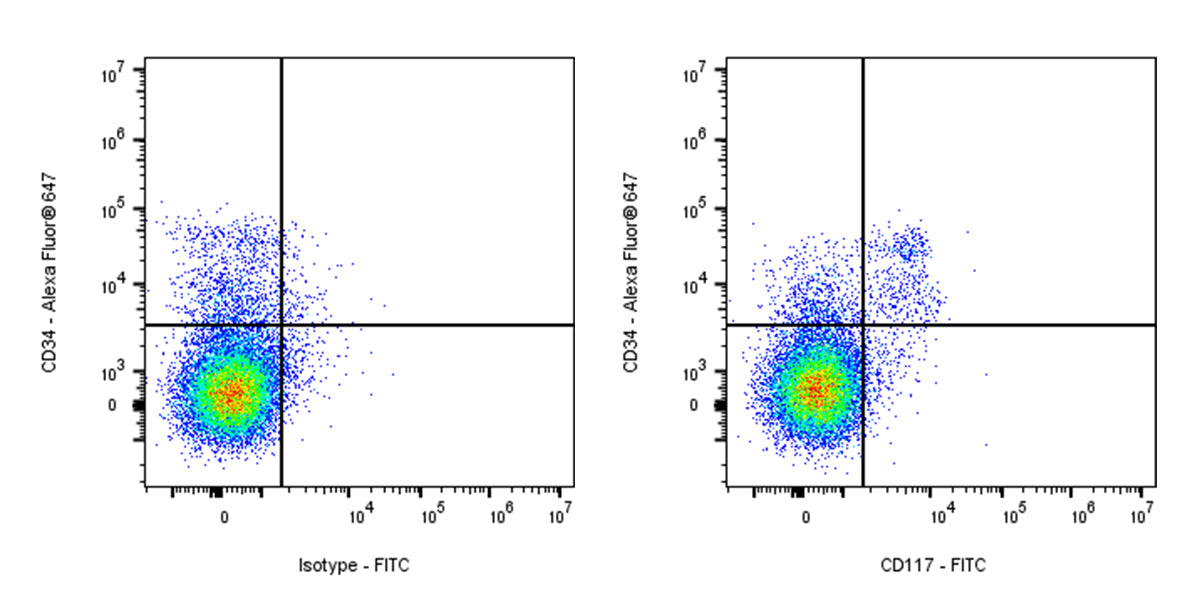 FITC Rat Anti-Mouse c-Kit (CD117) Antibody (ACK2)