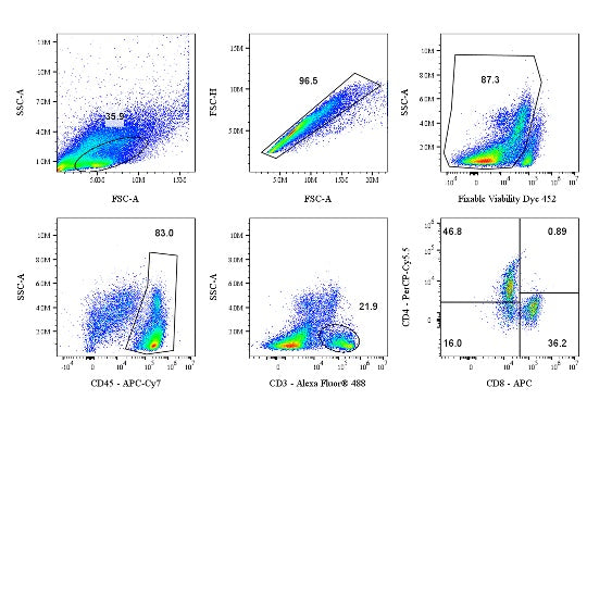 Mouse T Cell Panel kit