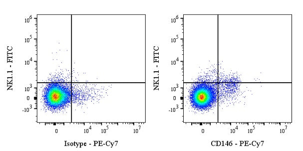 PE-Cy7 Rat Anti-Mouse CD146 Antibody (S-R606)
