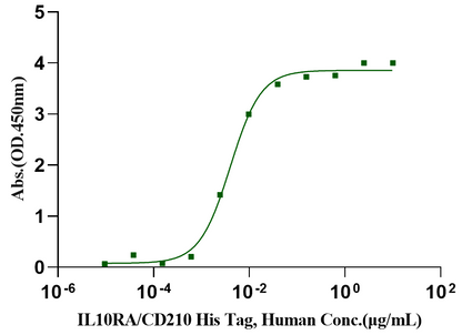 IL-10 Protein, Bovine