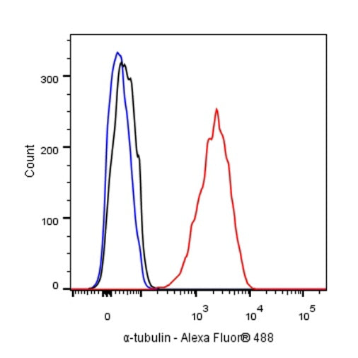 α-tubulin Mouse mAb (S-364-23)
