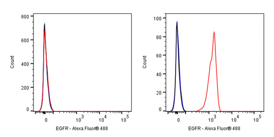 Alexa Fluor® 488 Mouse Anti-Human EGFR Antibody (S-SC033)