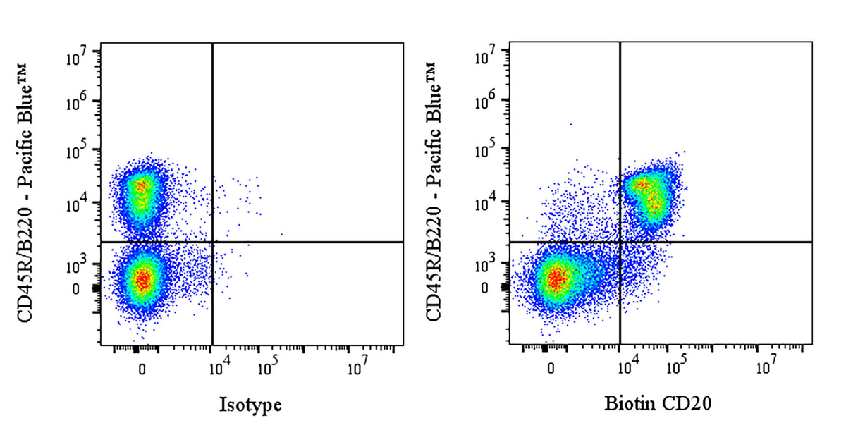 Biotin Mouse Anti-Mouse CD20 Antibody (S-3682)