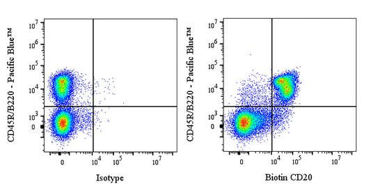 Biotin Mouse Anti-Mouse CD20 Antibody (S-3682)