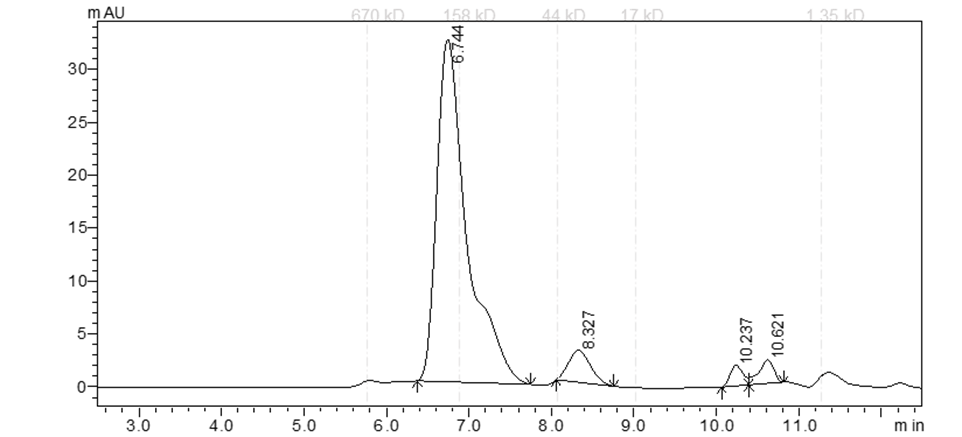 EPHB1 Protein