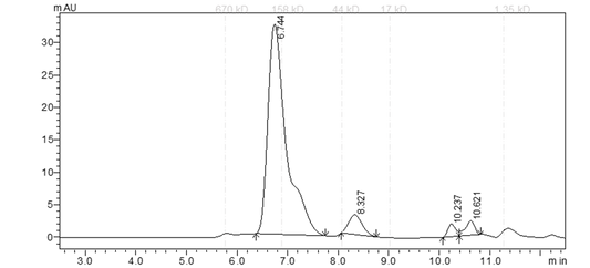 EPHB1 Protein