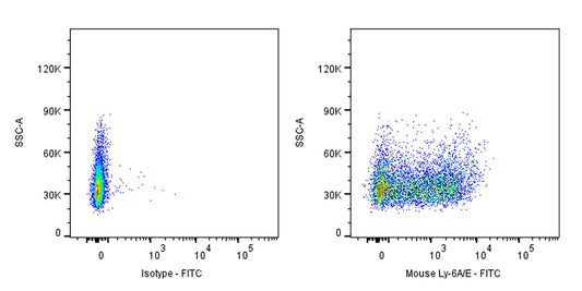 FITC Rat Anti-Mouse Ly-6A/E Antibody (D7)