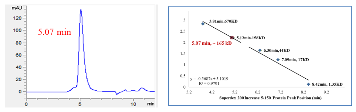 USP52 Protein