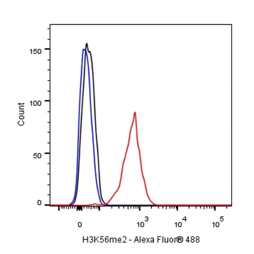 Histone H3 (di methyl K56) Recombinant Rabbit mAb (S-R427)