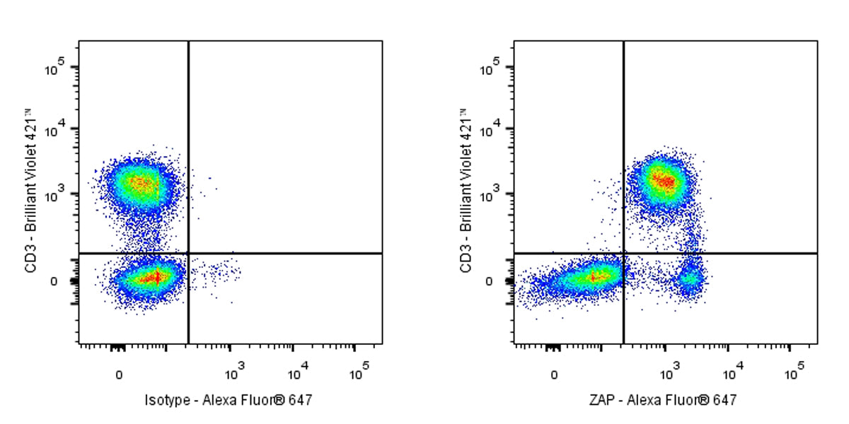 Mouse Anti-Human/Mouse ZAP-70 Antibody (1E7.2)