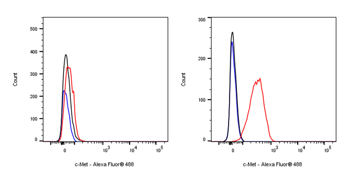 S-RMab® c-Met Recombinant Rabbit mAb (SDT-009-7H0L0)