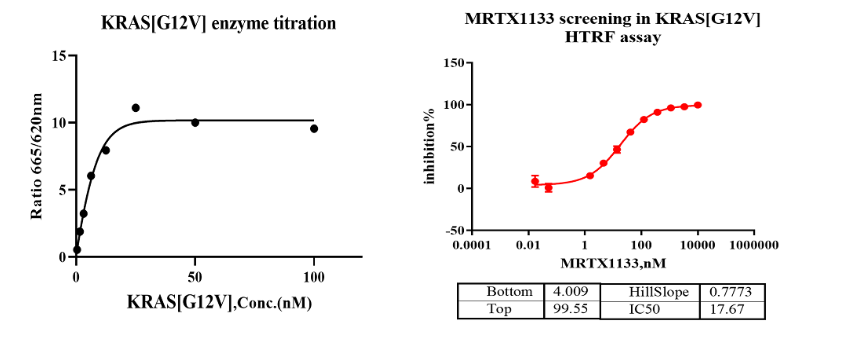 KRAS [G12V] Avi&His Tag Protein, Human(Load GDP/GMPPNP)