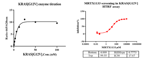 KRAS [G12V] Avi&His Tag Protein, Human(Load GDP/GMPPNP)
